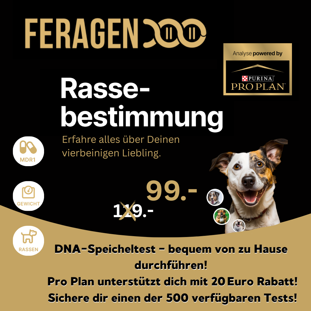 Rassebestimmung Powered by Purina® Pro Plan