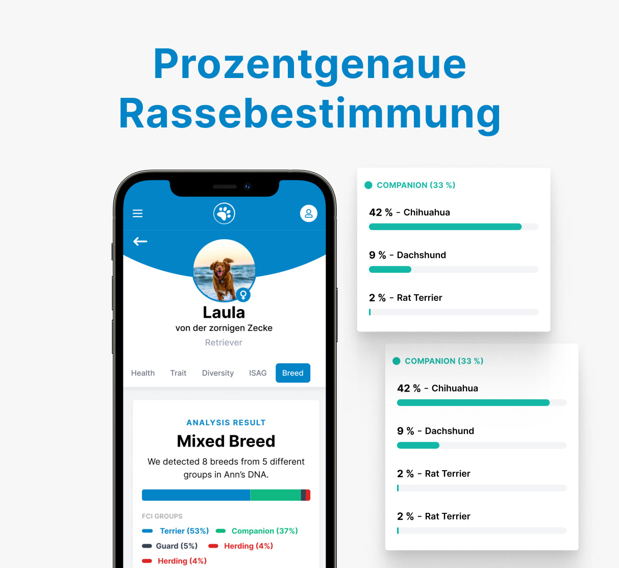 Rassebestimmung Light (Black Friday Angebot)