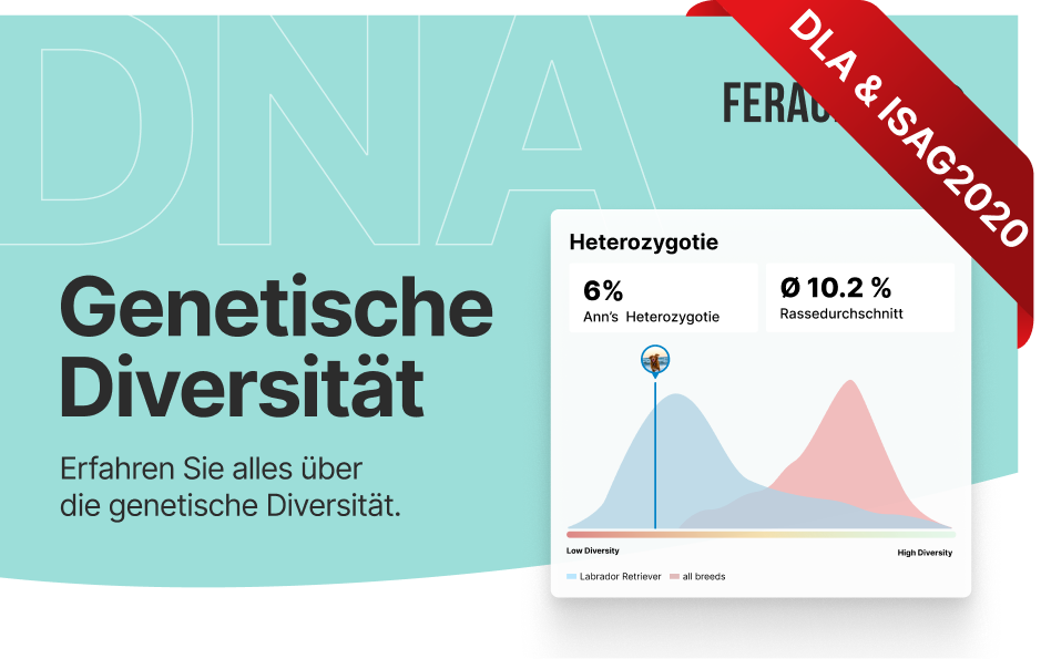 Genetische Diversität + DLA Haplotypenbestimmung + ISAG 2020