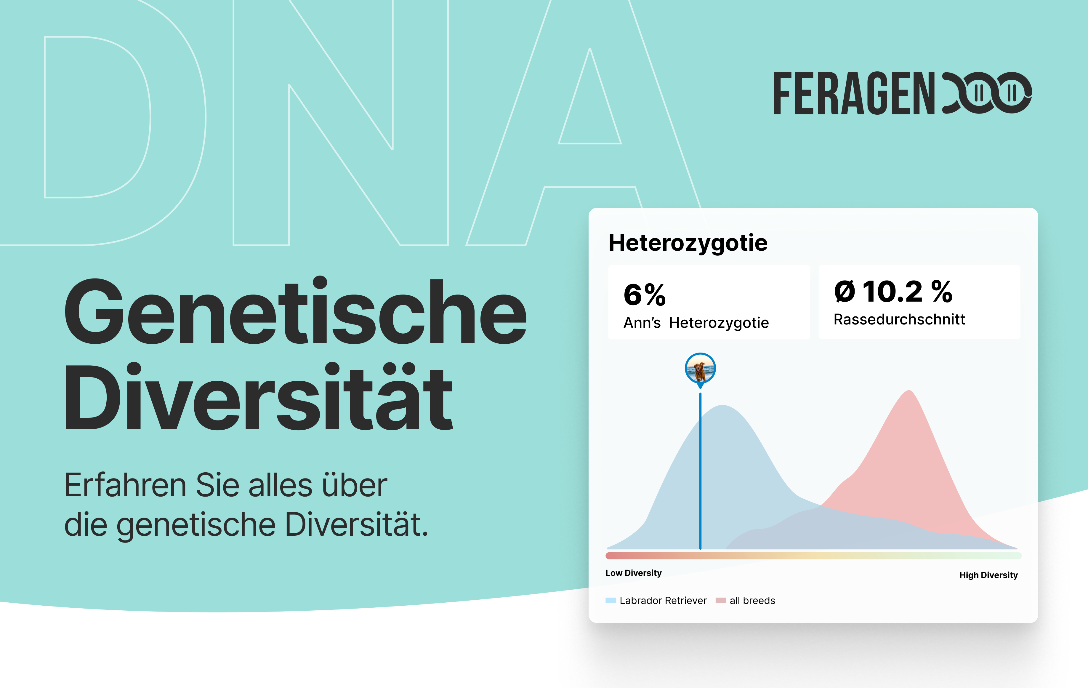 Genetic diversity + DLA haplotype determination