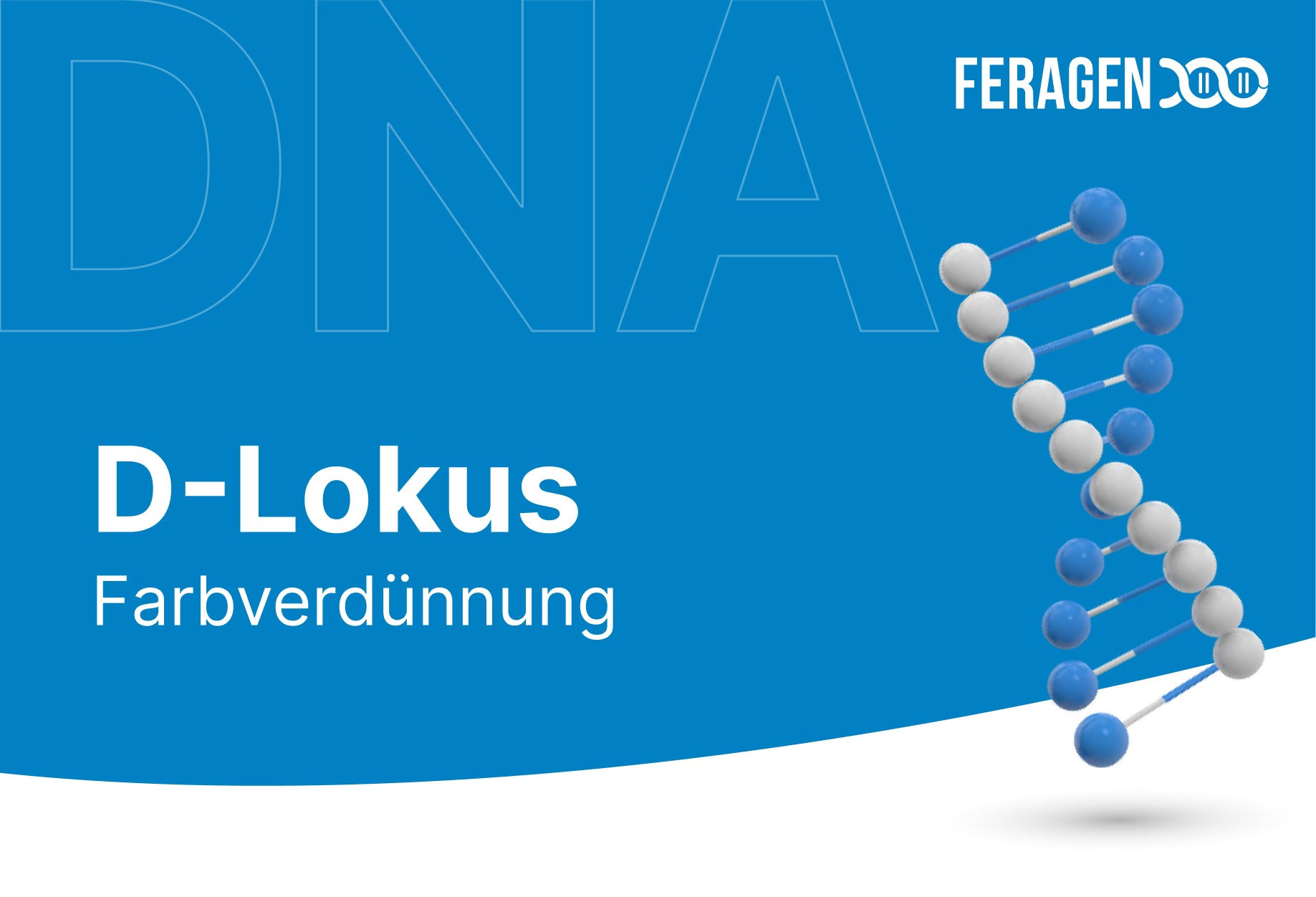 D-Lokus (Dilute/Farbverdünnung)