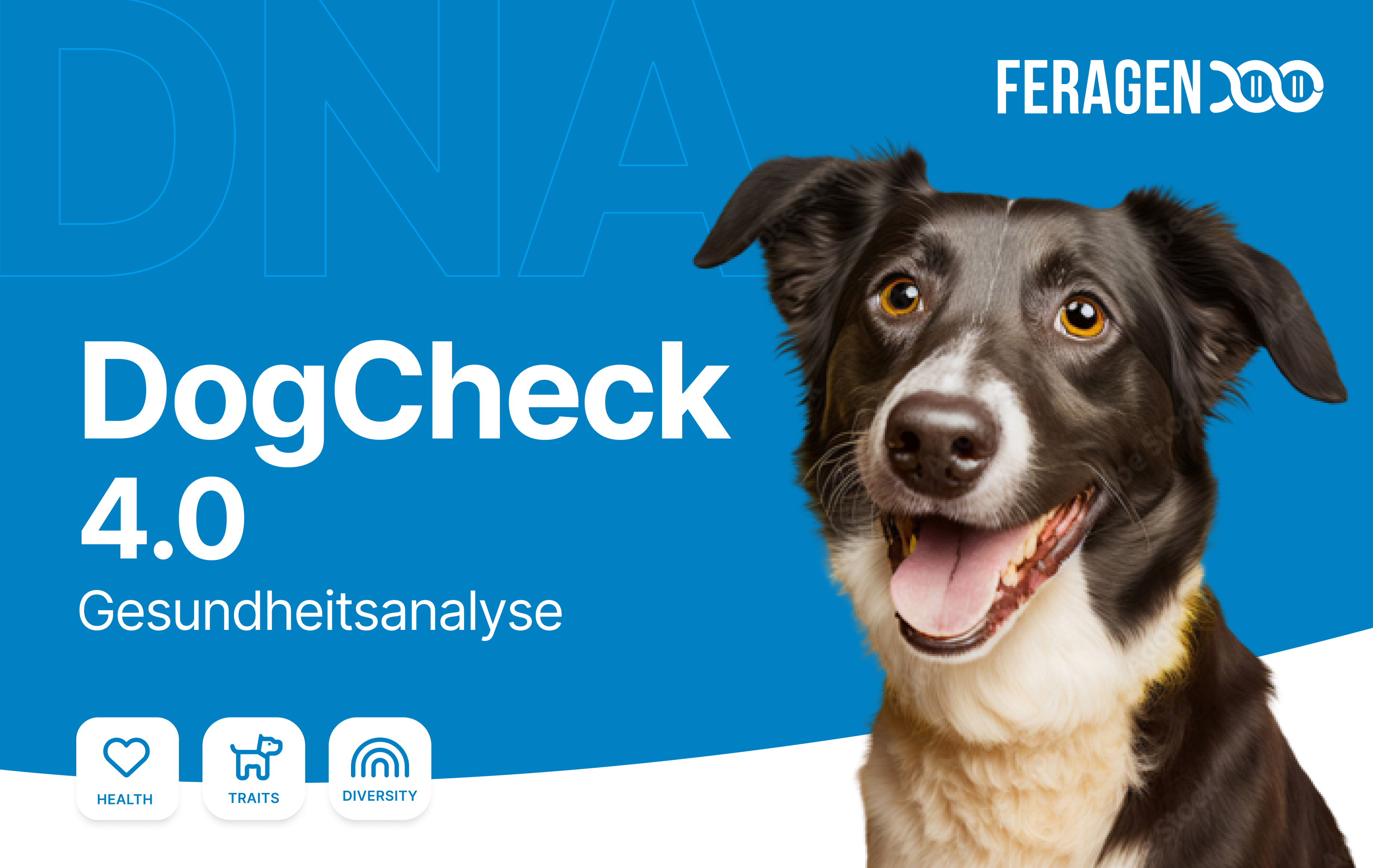 DogCheck 4.0 (Black Friday Angebot)