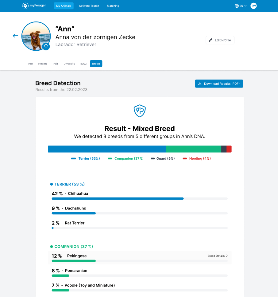 Rassebestimmung Light (Black Friday Angebot)