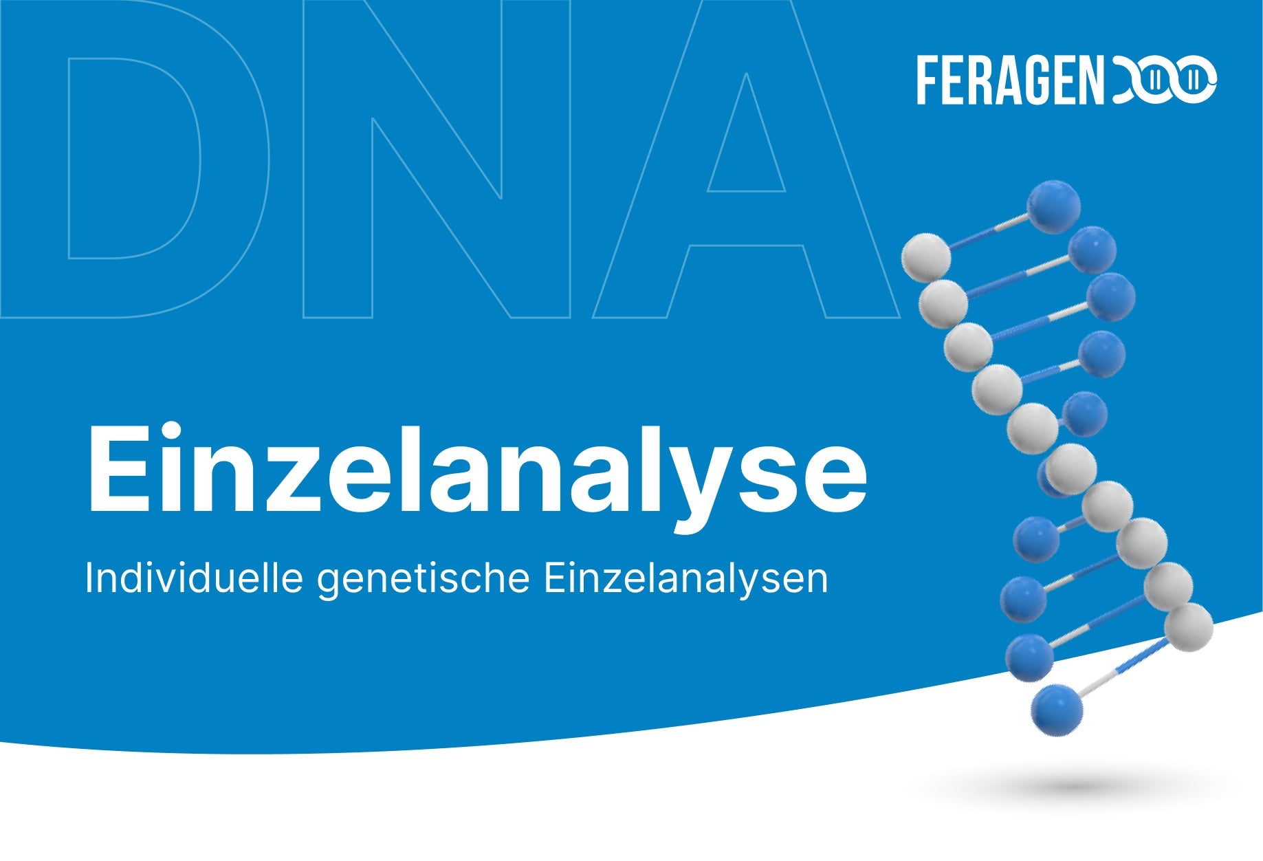 Glaukom und Goniodysgenesie (GG)