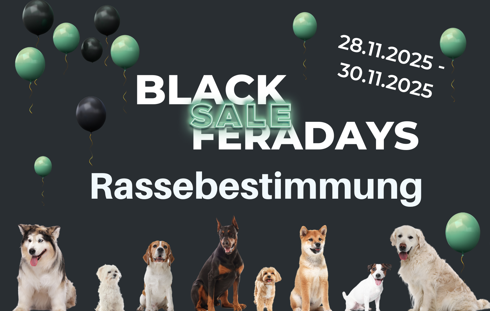 Rassebestimmung Light (Black Friday Angebot)