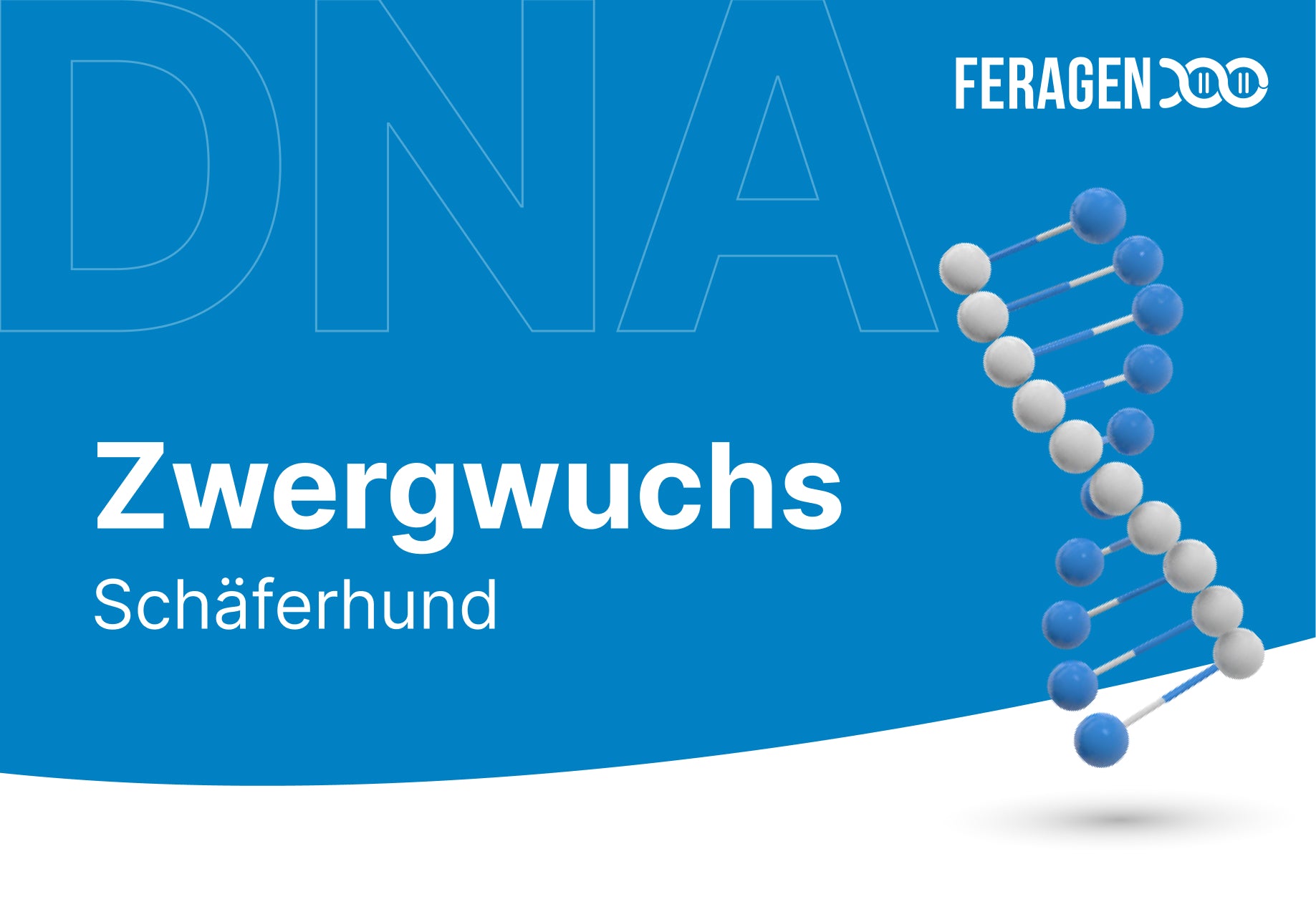 Hypophysärer Zwergwuchs - HZ