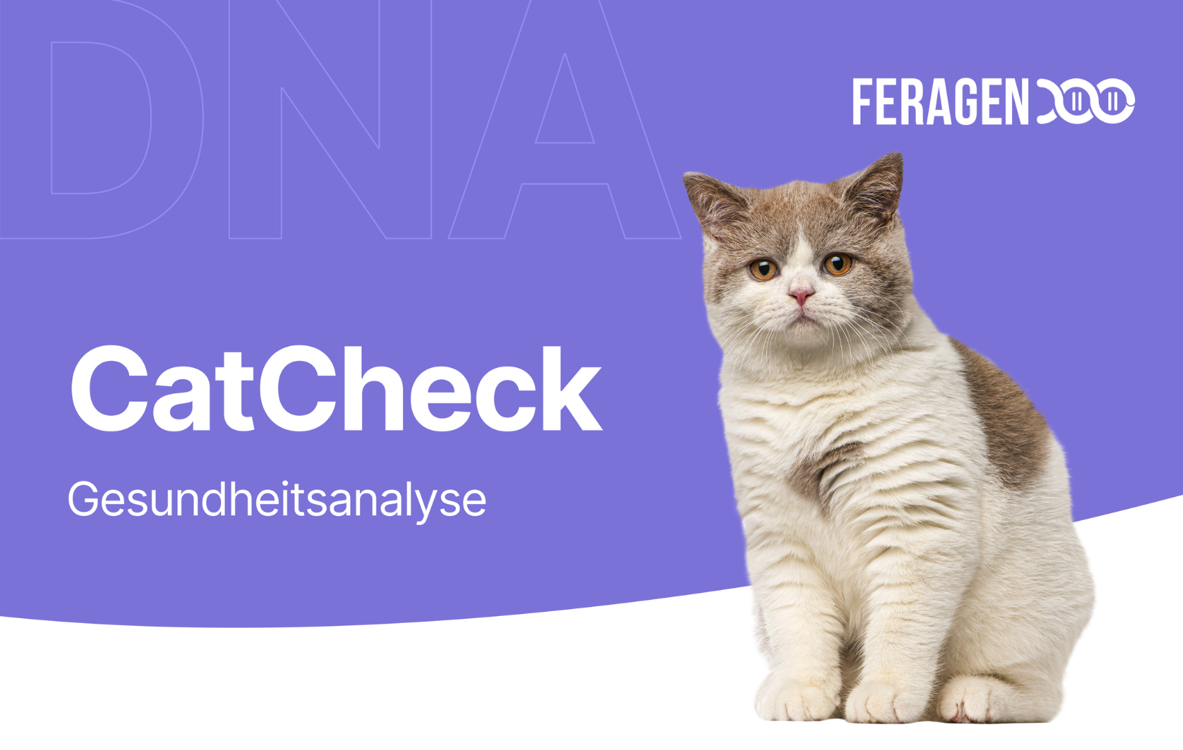 CatCheck Gesundheits-Test