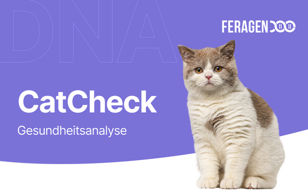 CatCheck Gesundheits-Test