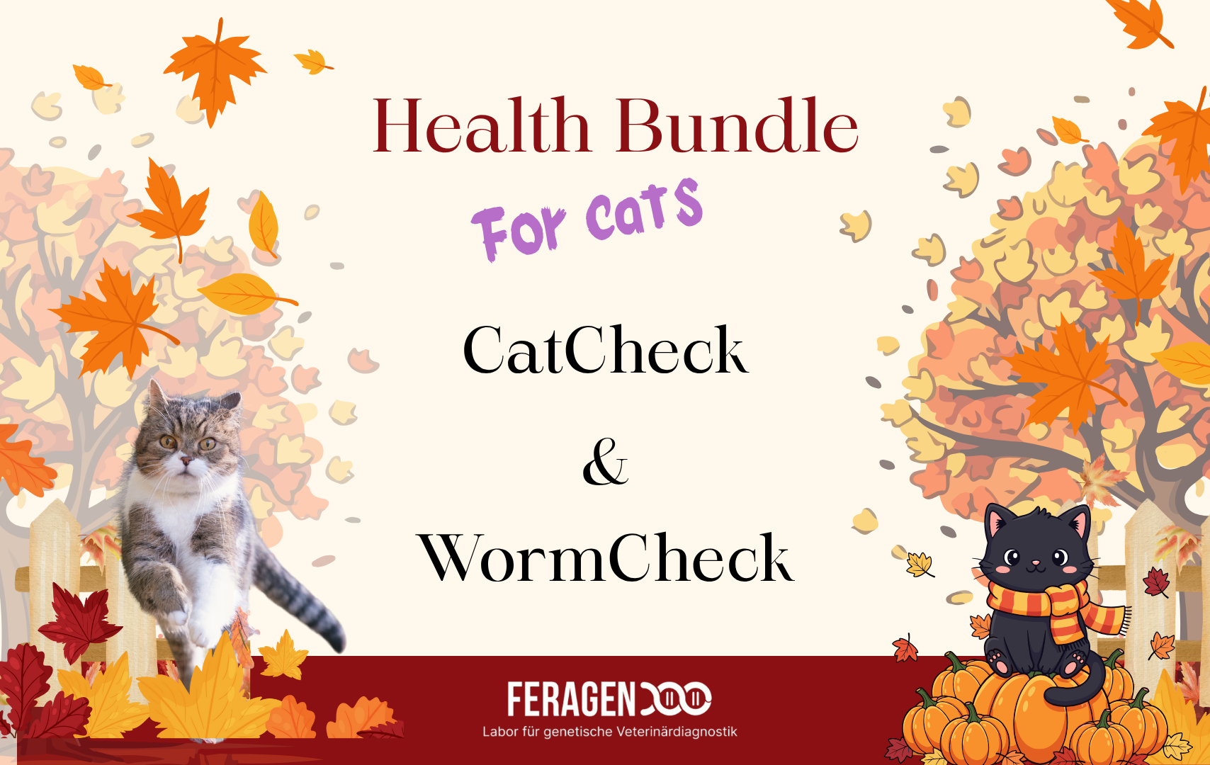Health Bundle für Katzen