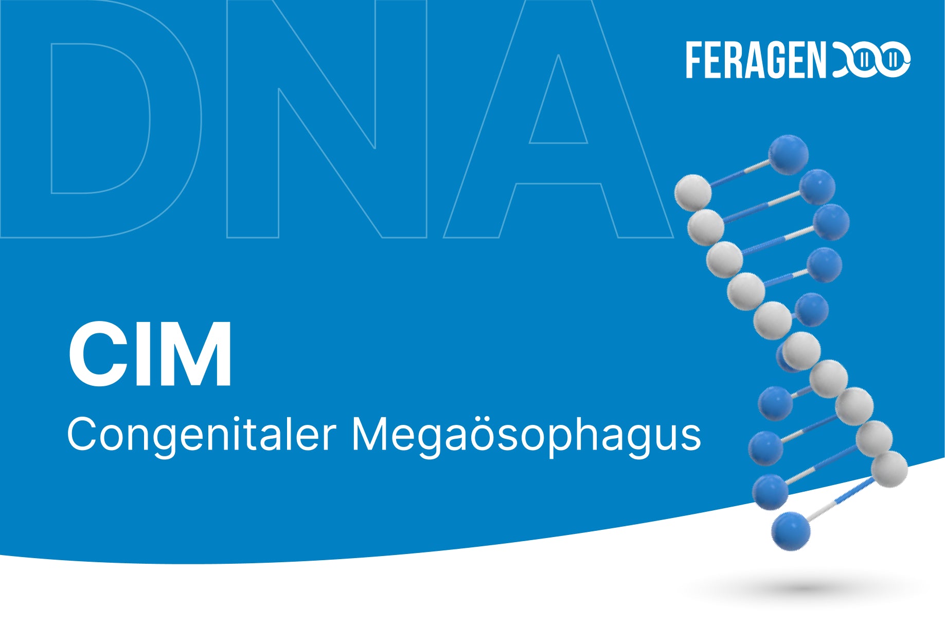Congenital megaesophagus (CIM)