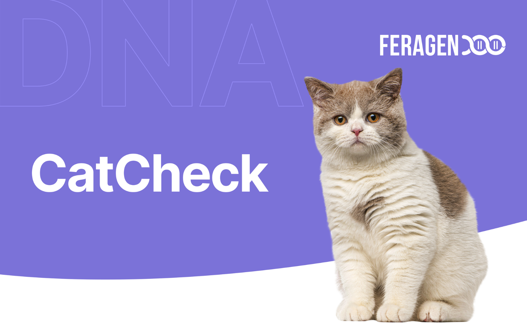 CatCheck