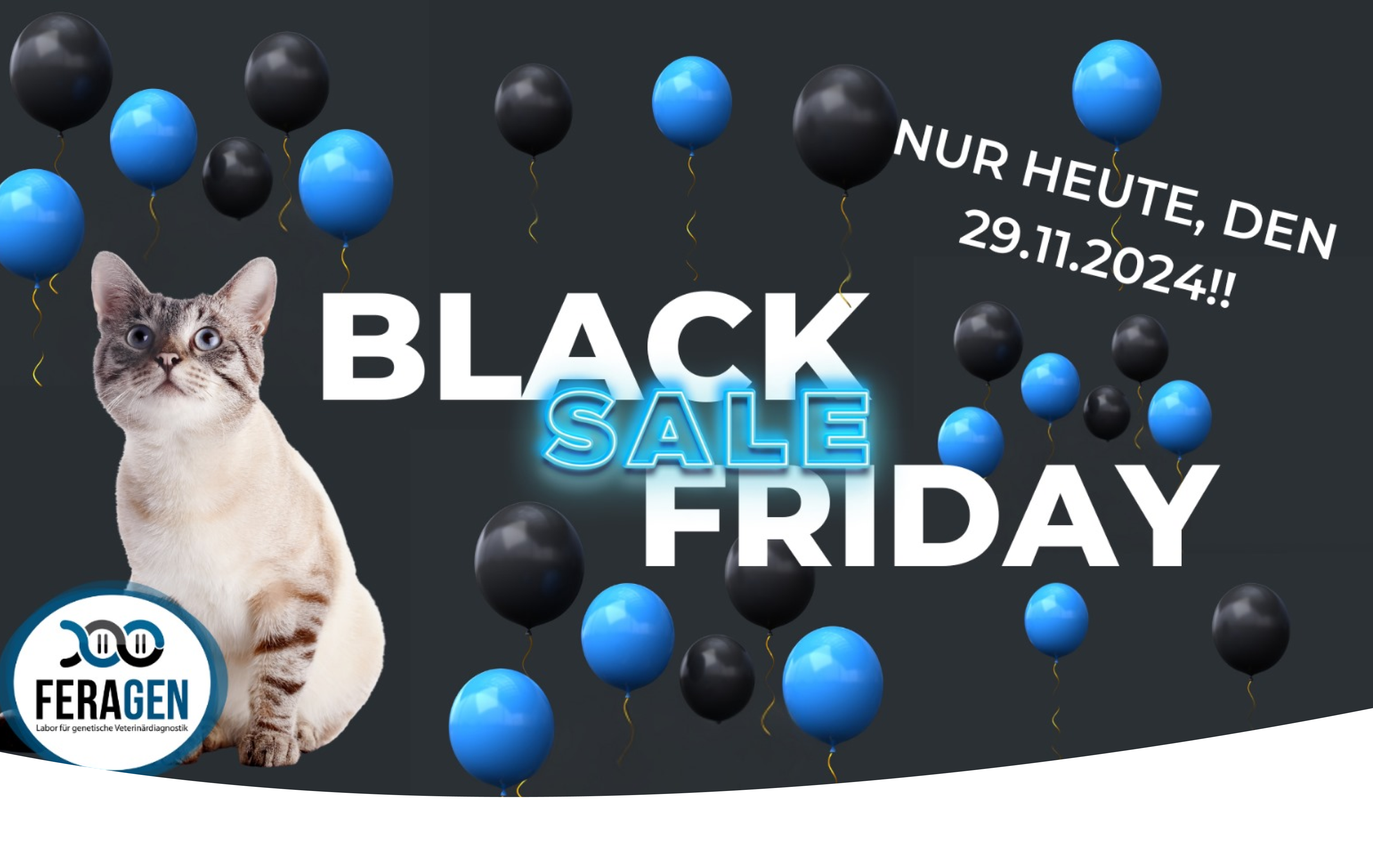 CatCheck Gesundheits-Test (Black Friday Angebot)