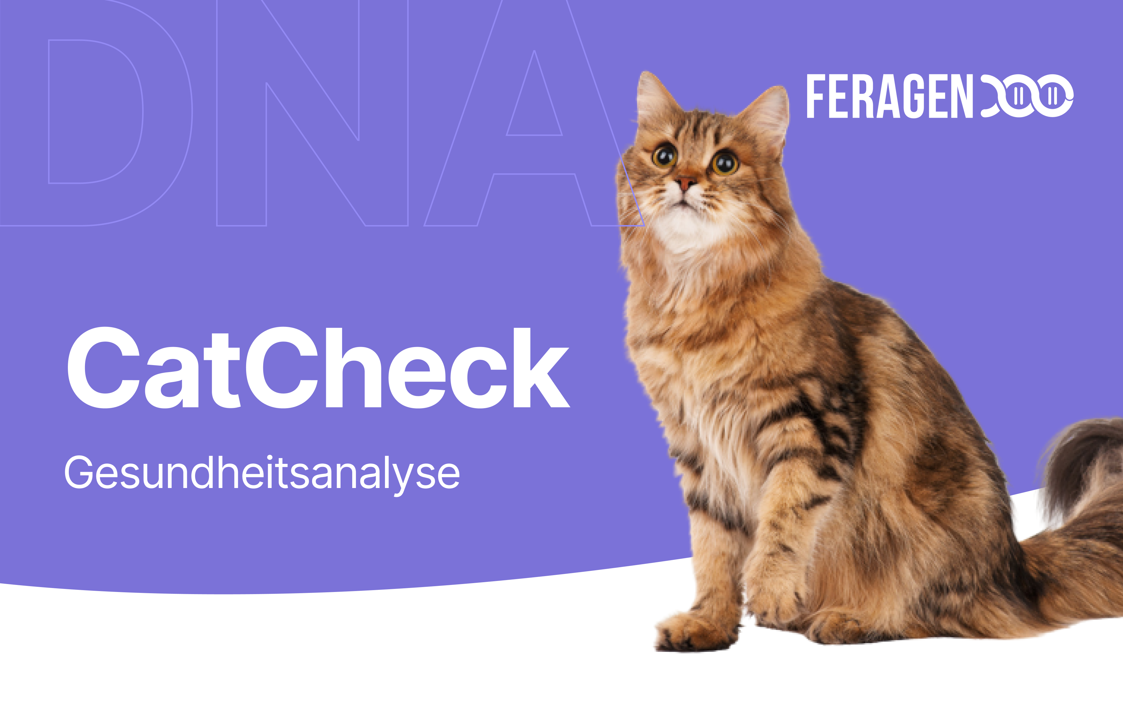 CatCheck health test