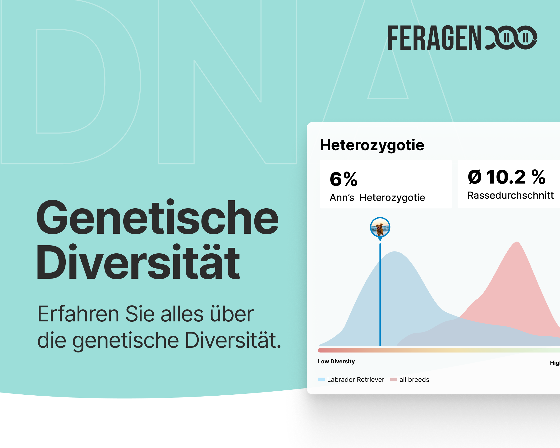 ISAG Wochen DogCheck 4.0 + ISAG 2006 & 2020