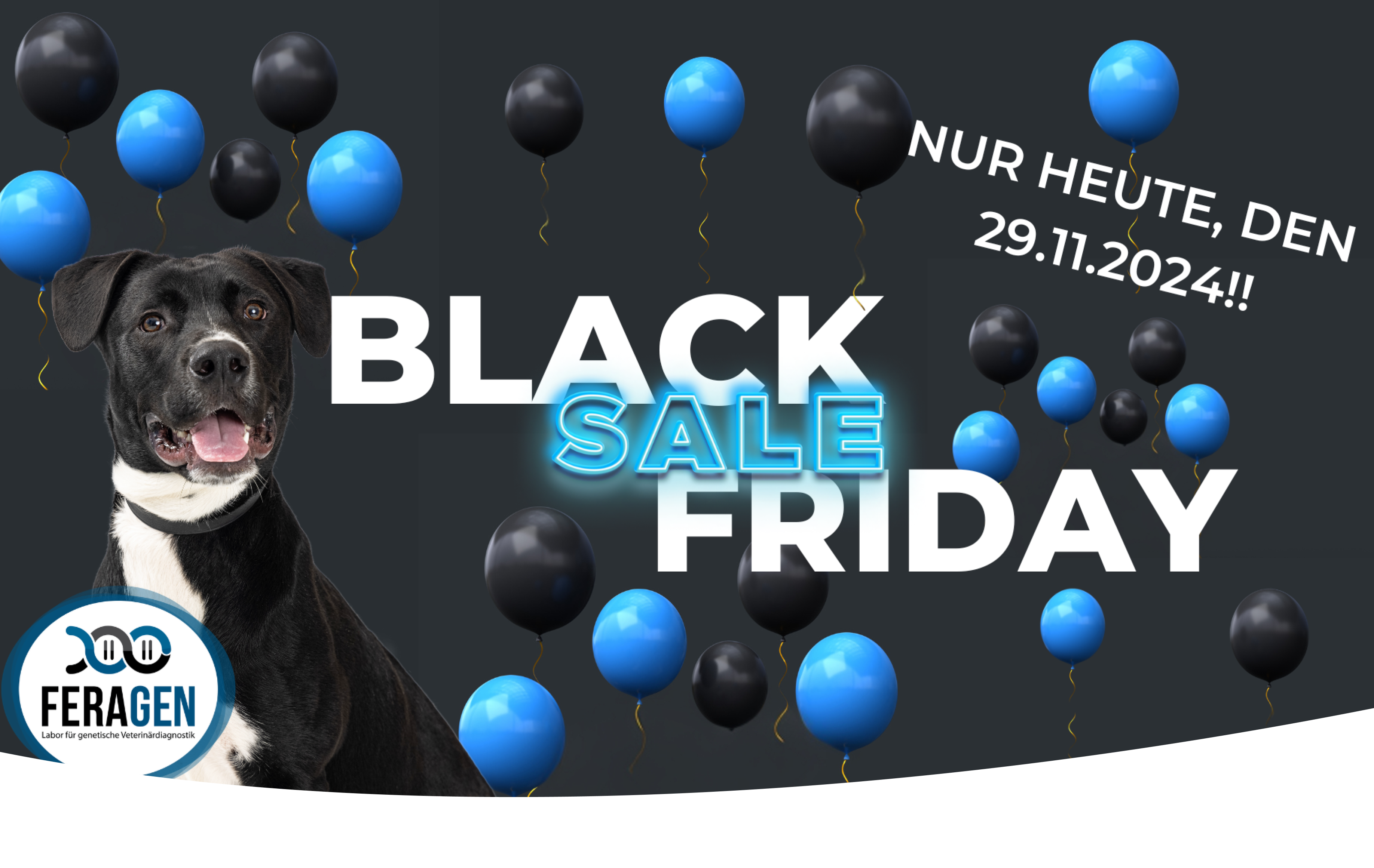 DogCheck 4.0 (Black Friday Angebot)