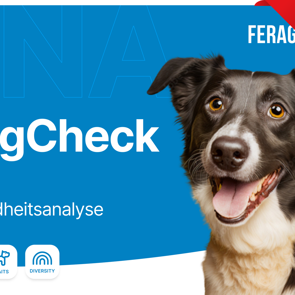 dogページ DogCheck_Produktbild_Aktion_12