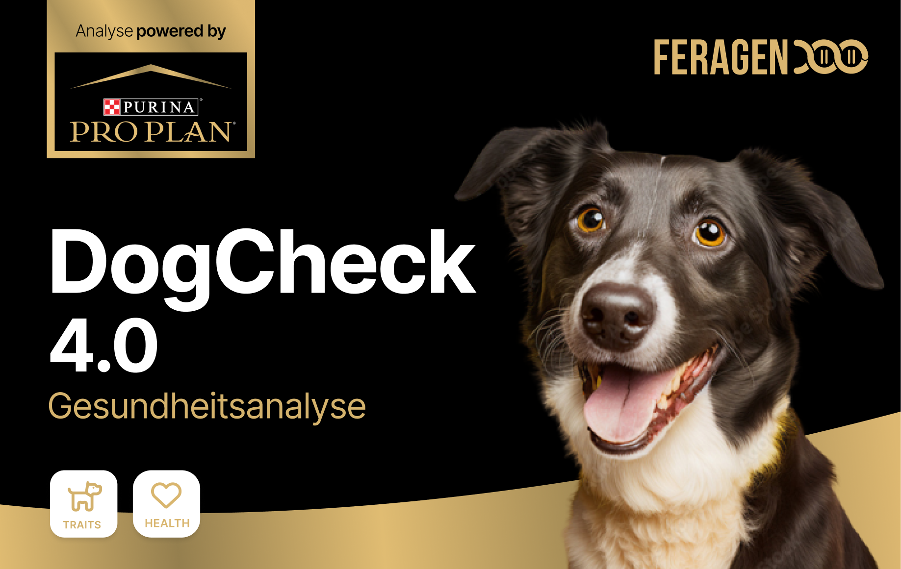 DogCheck 4.0 + ISAG 2020 DNA-Profil Powered by Purina® Pro Plan
