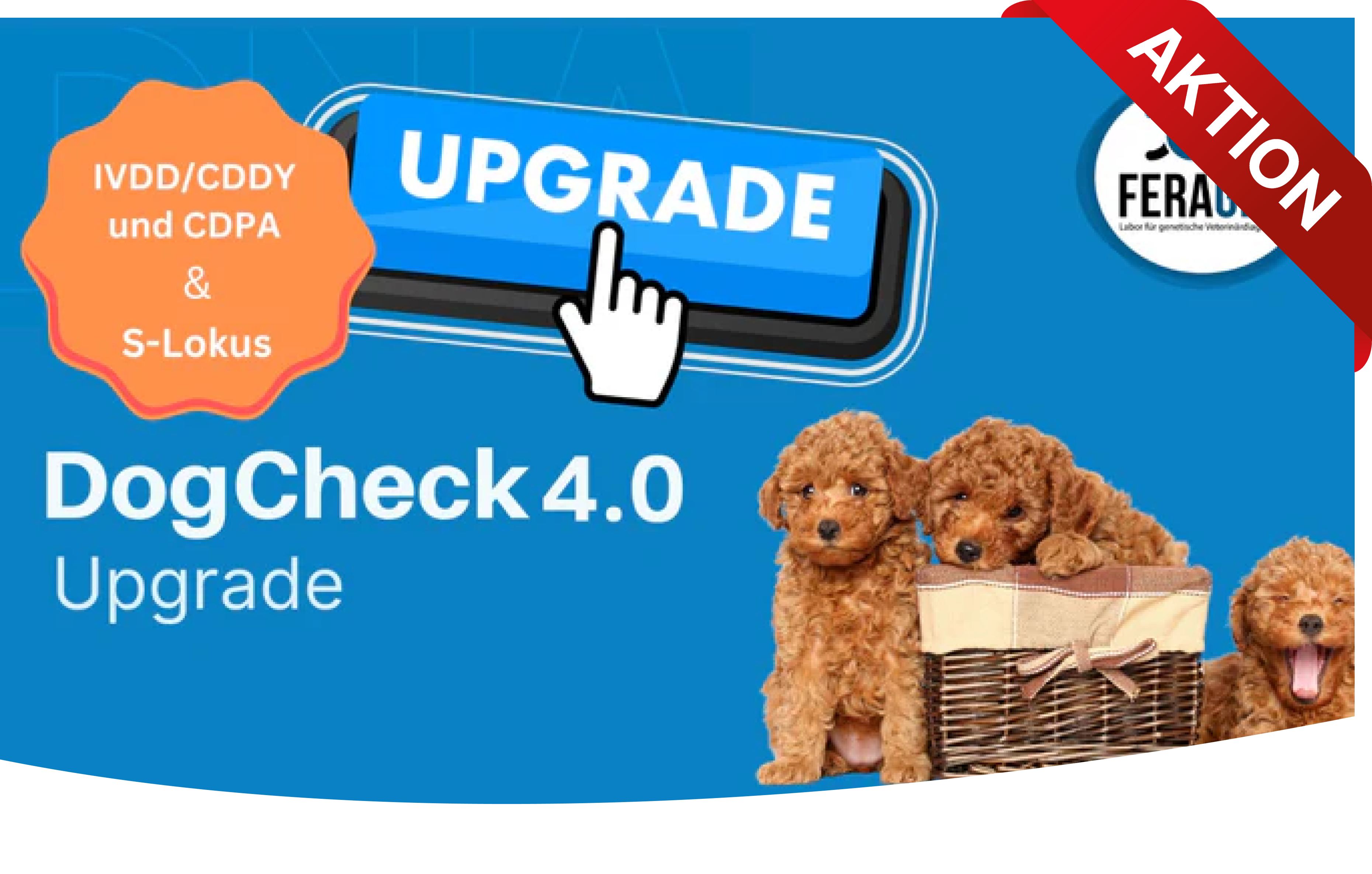 DogCheck 4.0 Upgrade