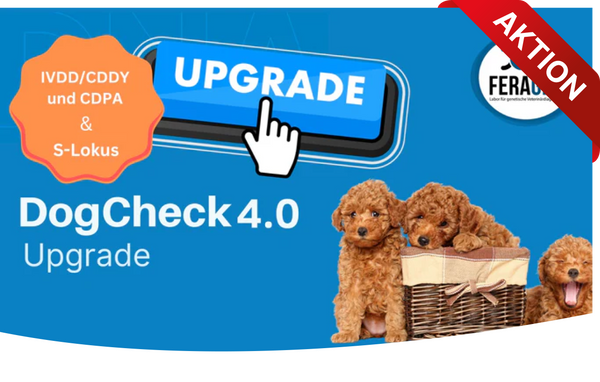 DogCheck 4.0 Upgrade