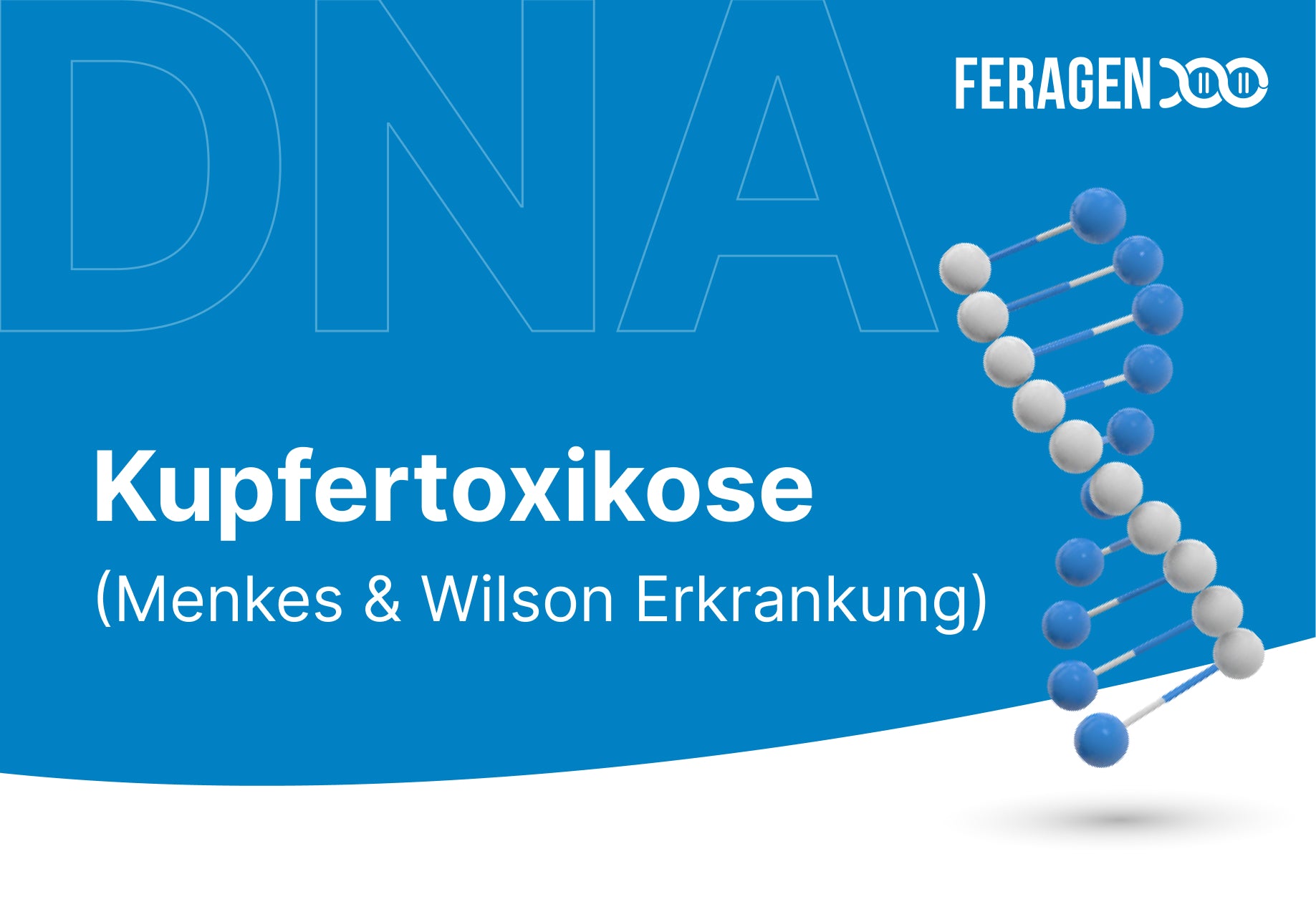 Copper Toxicosis in Labrador Retrievers (Menkes & Wilson Disease)