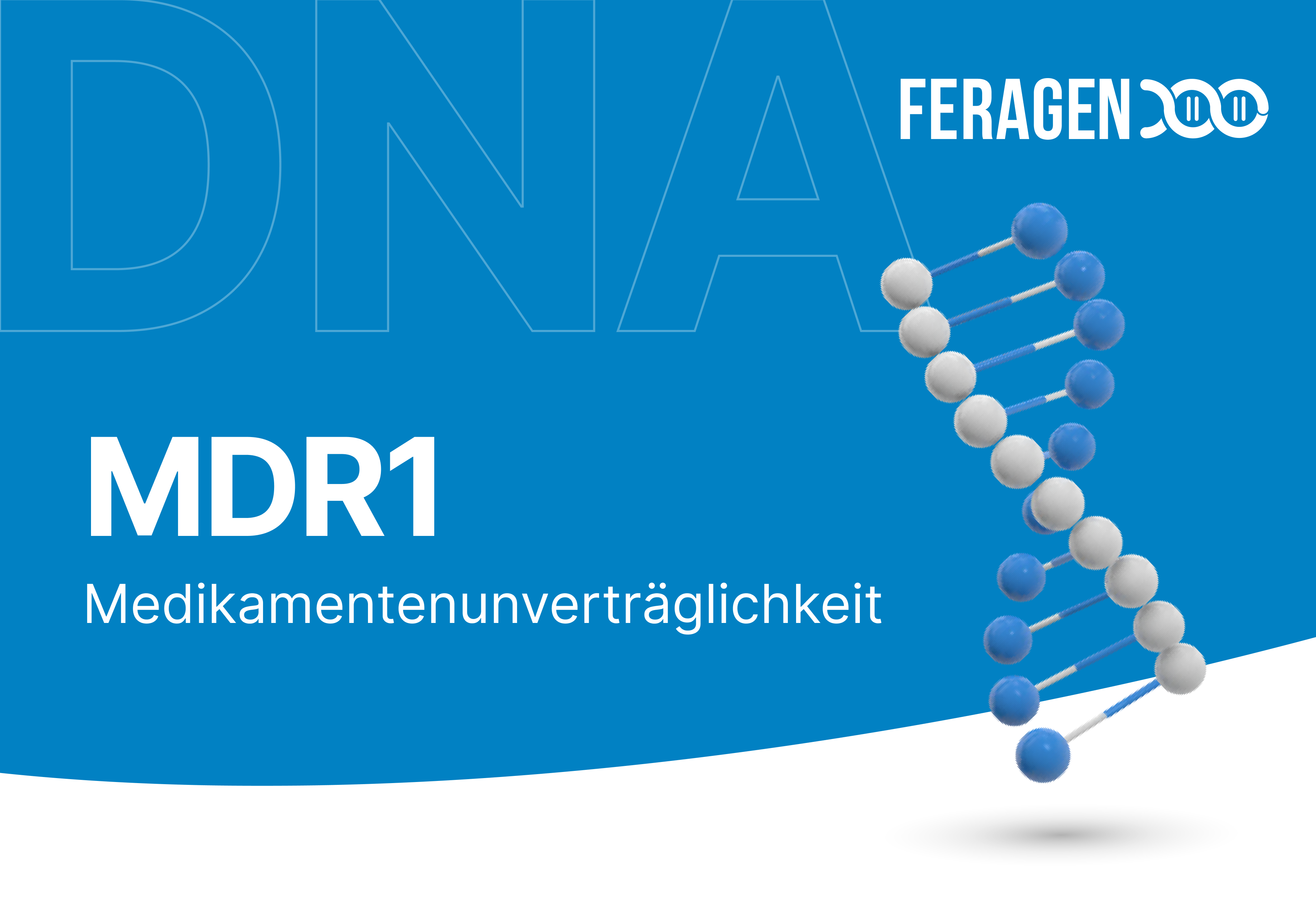 MDR1 - Multidrug Resistance 1