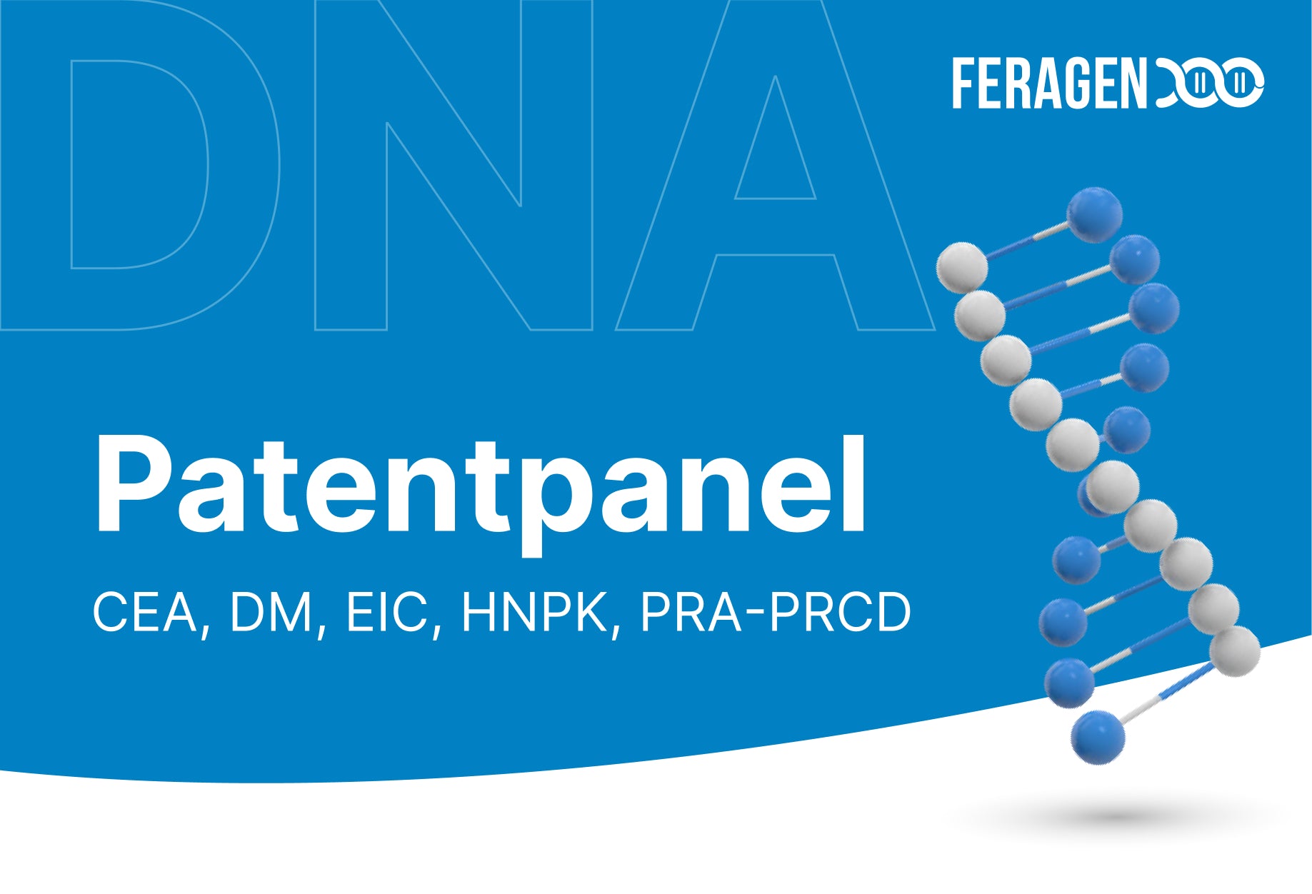 Patentpanel – Genetische Gesundheitstests für Ihren Hund