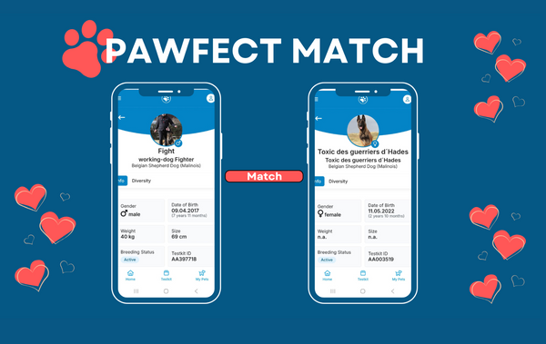 Pawfect Match