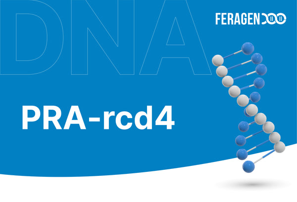 Progressive Retinaatrophie, Rod-Cone Dysplasie 4 - PRA-rcd4