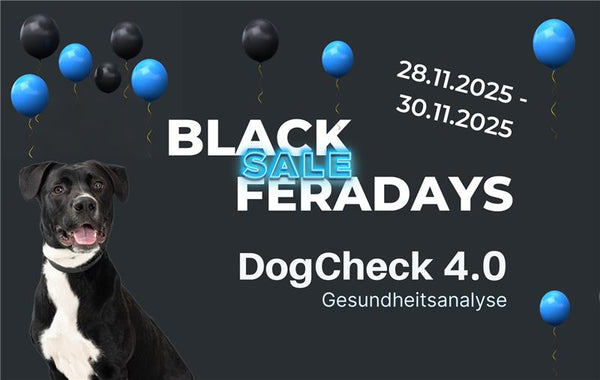DogCheck 4.0 (Black Friday Angebot)