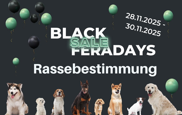 Rassebestimmung Light (Black Friday Angebot)