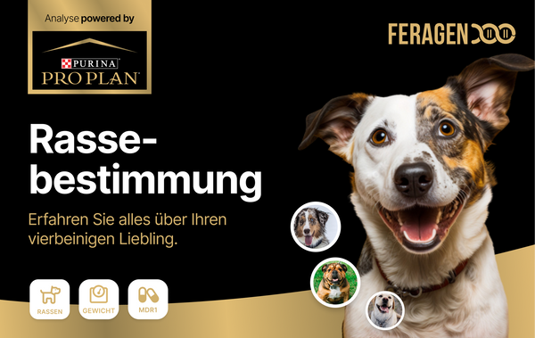 Rassebestimmung Powered by Purina® Pro Plan