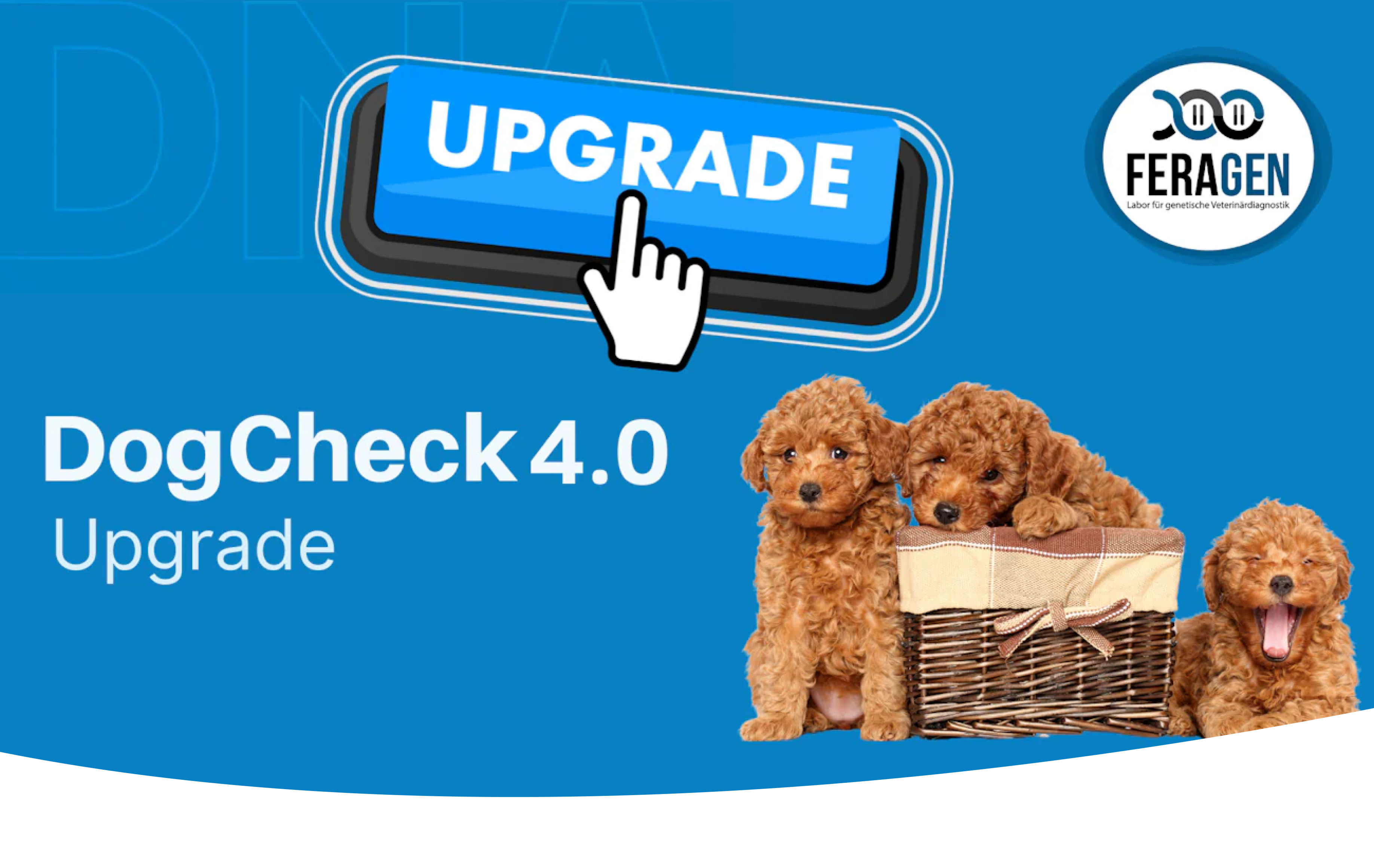 DogCheck 4.0 Upgrade