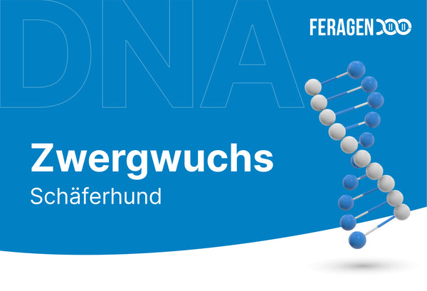 Hypophysärer Zwergwuchs - HZ